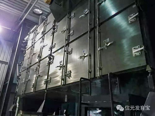 上海信元寵食工廠實力揭幕 網(wǎng)絡(luò)工程背后的秘密