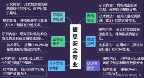 信息安全專業(yè)畢設(shè)選題指導(dǎo)手冊(cè) 熱門研究方向全覆蓋